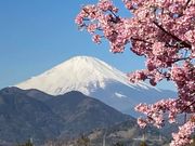 デンカさんの西平畑公園の投稿写真1