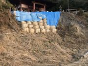 Shotaさんの飯尾寺(飯尾の不動さま)の投稿写真1