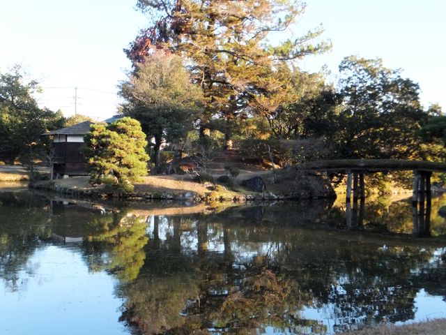 こぼらさんの衆楽園の神代杉の投稿写真1
