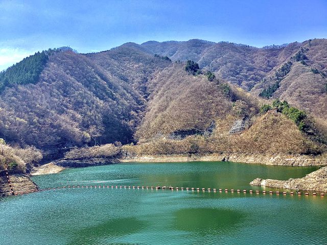とても湖のグリーンが綺麗でした。_深城ダム
