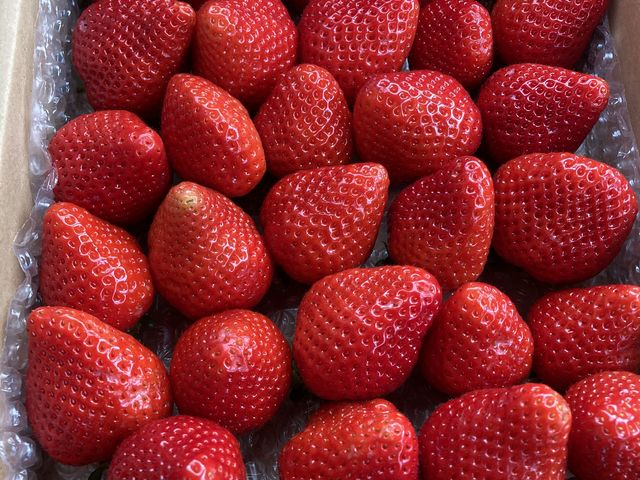 持ち帰ったいちごも美味しい!_元気farm