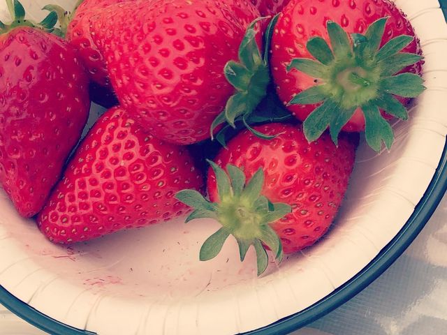 写真のようにめちゃくちゃ甘くて美味しいです!_アンデルセンいちご農園