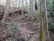 マイBOOさんの男体山の投稿写真1