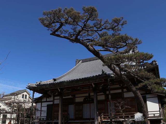 本堂。_現光寺
