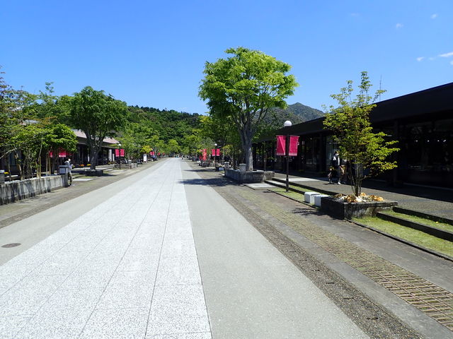 アリタセラ