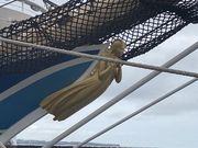 えすやんさんの上人ケ浜公園の投稿写真2