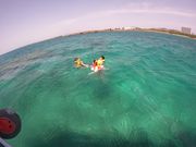 ざきさんのヨーキーズ クルーズの投稿写真1