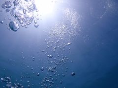 おおのさんのDIVING SHOP RYAAANへの投稿写真1