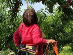 御坂農園グレープハウスの写真1