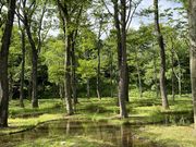 まこさんのアート・ビオトープ那須の投稿写真1