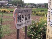 こんぱらさんの桶ケ谷沼ビジターセンターの投稿写真2