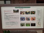 こんぱらさんの桶ケ谷沼ビジターセンターの投稿写真1