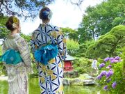 久子さんの保和苑のアジサイの投稿写真1