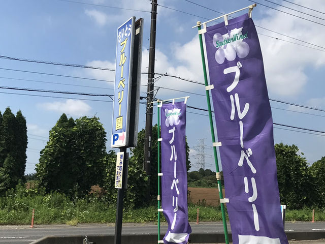 さいとうブルーベリーさん_さいとうブルーベリー園