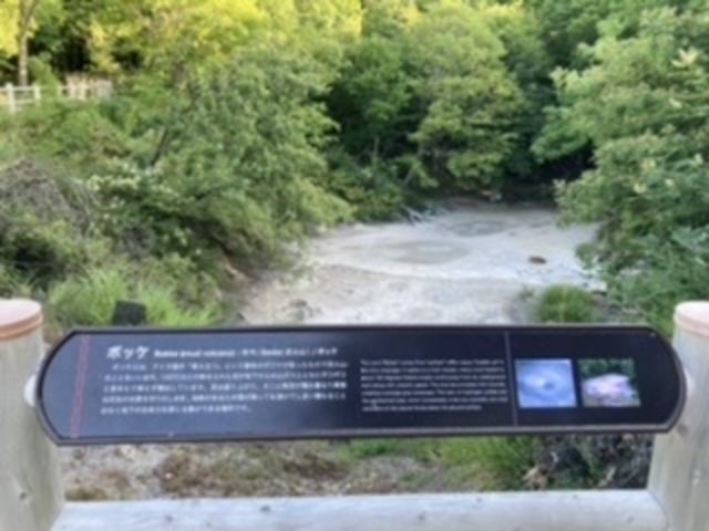 後方の林の中にライトアップ_ボッケ(泥火山)