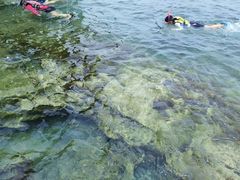 パドルスポーツ・ルーの写真1