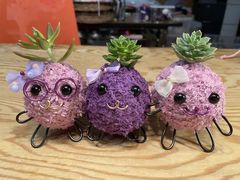 りぃさんのことのは園藝研究所への投稿写真1