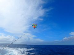 chamupapaさんのマリンショップ マーメイドへの投稿写真3