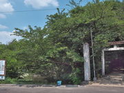 sklfhさんの岩倉市自然生態園の投稿写真1