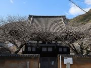Yanwenliさんの安国寺の投稿写真7