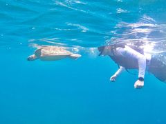 けいさんの石垣島シュノーケルツアーへの投稿写真2