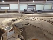 あずあずさんの北淡震災記念公園 野島断層保存館の投稿写真1