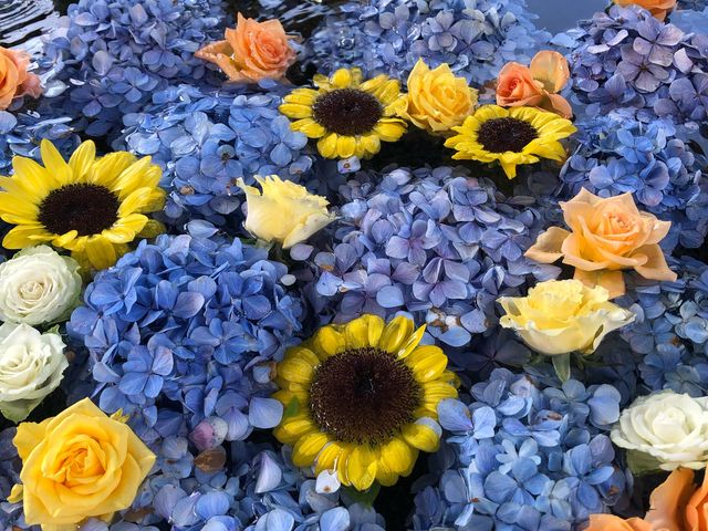 浮かんでいるお花_荘内神社