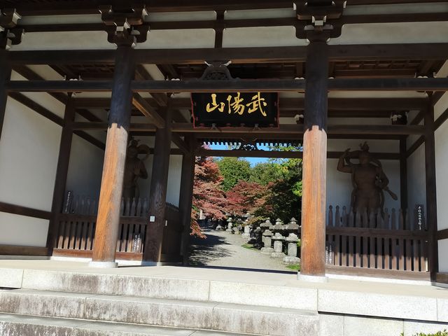 仁王像から参道の紅葉_能仁寺