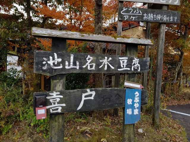 喜戸とうふ