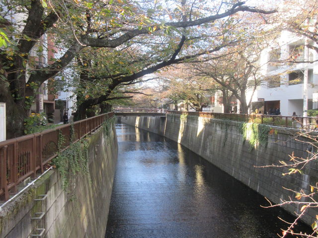 郷さくら美術館
