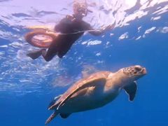 石垣島ツアーガイドオールブルーの写真1