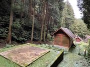 熊叔父さんさんの湯の浦キャンプ場の投稿写真1