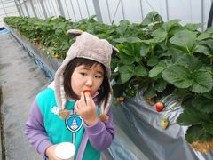 さくらファームの写真1