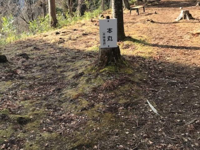 本丸です。これぞ、山城ですね。_明知城跡