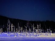 さくらさんの札幌通運クラブゲッツの投稿写真4