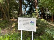 4人のかーちゃんさんの夜宮公園の花しょうぶの投稿写真1