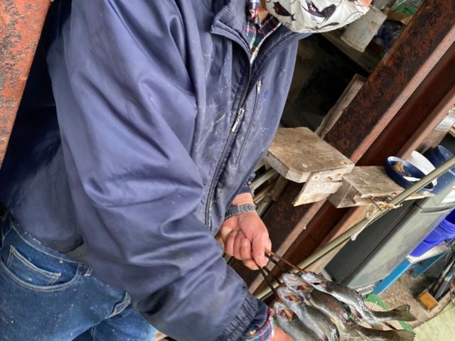 串刺し上手すぎ!_仁王尊プラザ(釣堀)