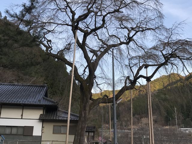 大安寺