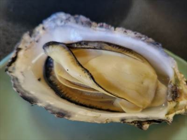 プリプリ焼牡蠣!_名代的矢かき料理の宿 いかだ荘山上
