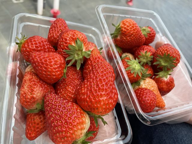 紅ほっぺ_ナカジマファーム 岩名の里