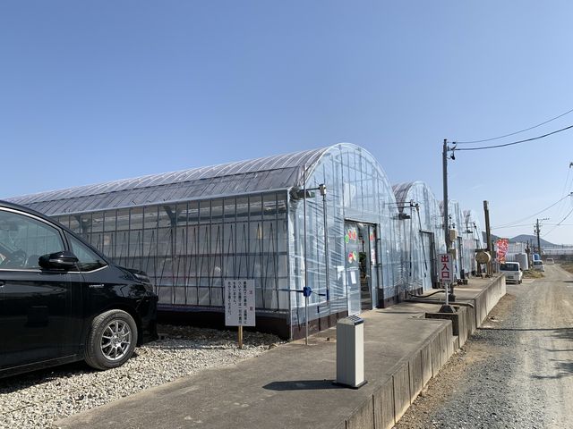 駐車場も停めやすくてよかったです_日研農園