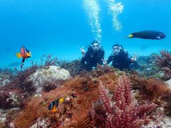 なはさんの柏島ダイビングサービス Smiley Diveへの投稿写真1