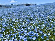 ボブさんの札幌通運株式会社クラブゲッツ東京の投稿写真1