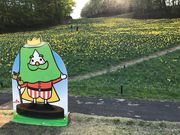 ZUNDAMさんの宮城蔵王えぼしすいせん祭りの投稿写真3