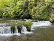 イワダイさんの宮島峡の投稿写真1