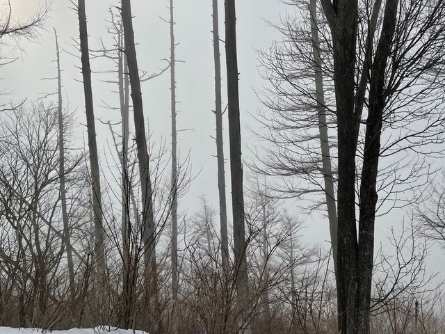 山の天気ってすごいです_信州菅平高原パインビークスキー場