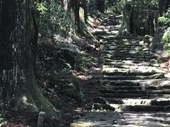 さかなねこさんの熊野古道 大門坂への投稿写真1