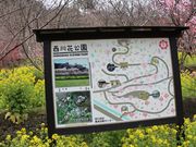 一期一会さんの西川花公園の投稿写真2