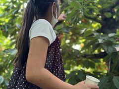 あいちゃんさんの果実の里 原田農園への投稿写真1