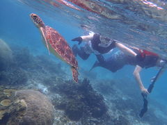 mamaさんの宮古ぱちツアーズへの投稿写真1